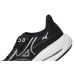 Mizuno Wave Rider 29
