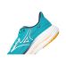 Mizuno Wave Rider 29