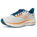 Mizuno Wave Rider 29