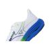 Mizuno Wave Rider 29 Mizuno Wave Rider 29