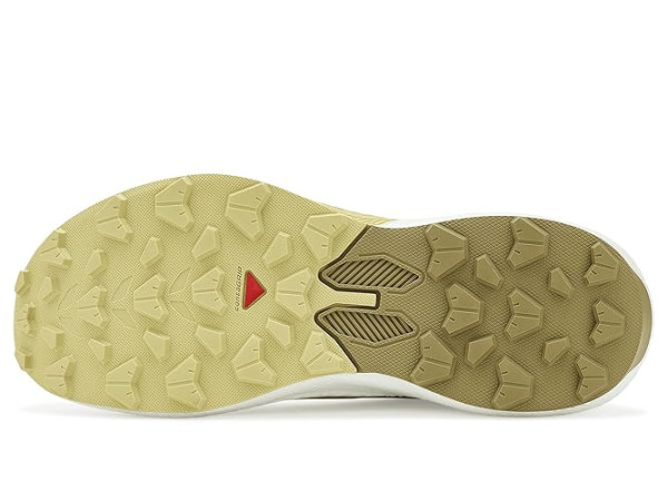 Salomon Pulsar