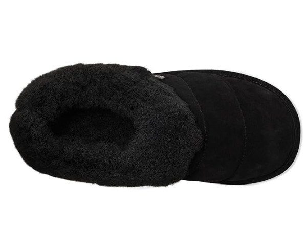 Bearpaw Ari