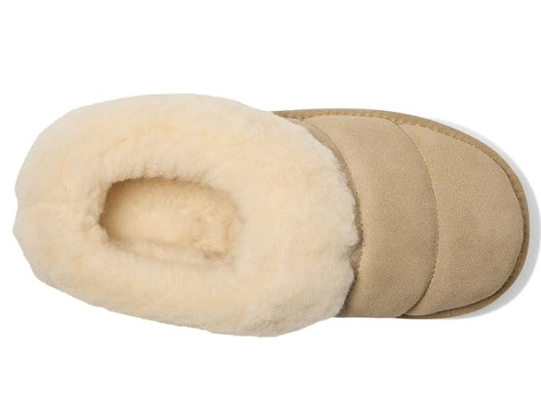 Bearpaw Ari