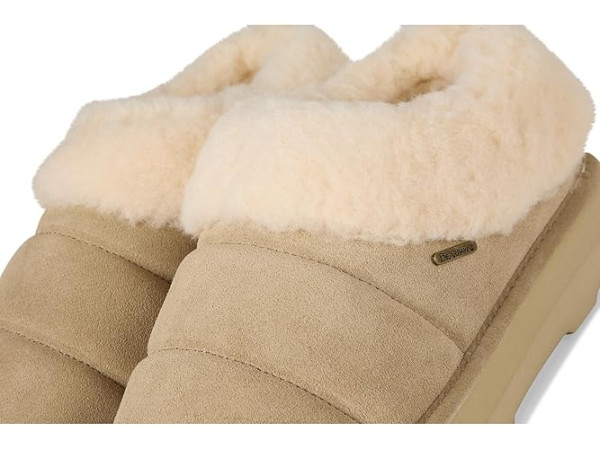 Bearpaw Ari