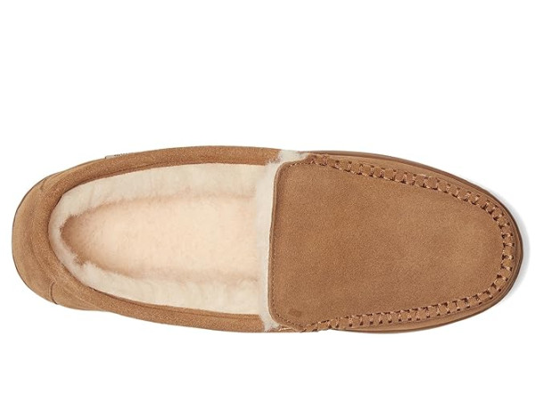 Bearpaw Brian