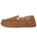 Bearpaw Brian