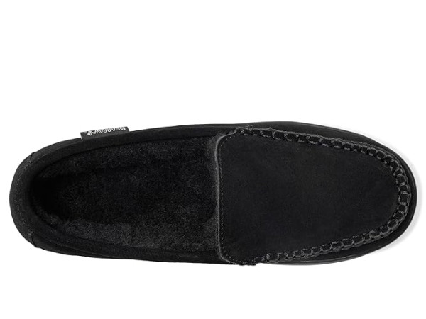 Bearpaw Brian
