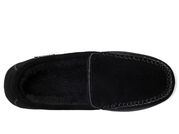 Bearpaw Brian