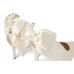 Steve Madden Teacup Steve Madden Teacup