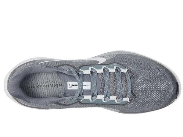 Nike Pegasus 41