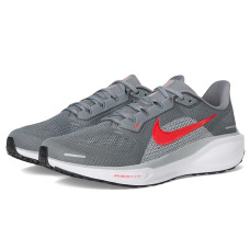 Nike Pegasus 41