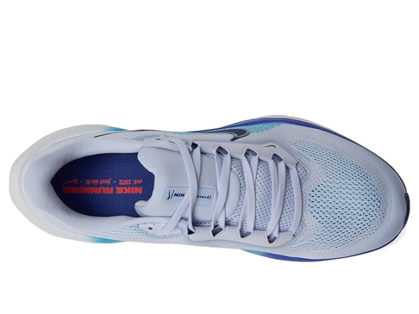 Nike Pegasus 41
