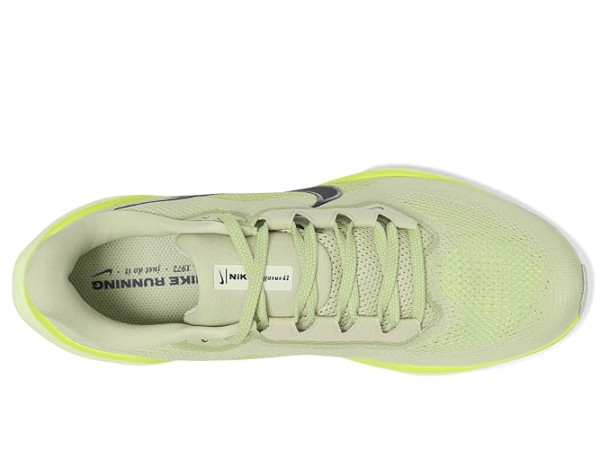 Nike Pegasus 41