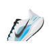 Nike Pegasus 41