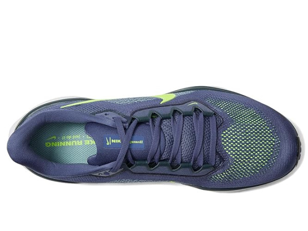 Nike Pegasus 41