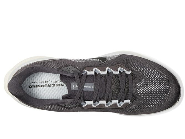 Nike Pegasus 41