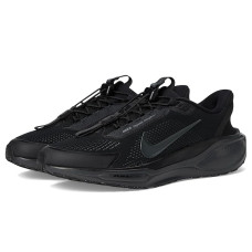 Nike Pegasus Easy On