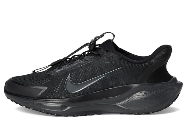 Nike Pegasus Easy On