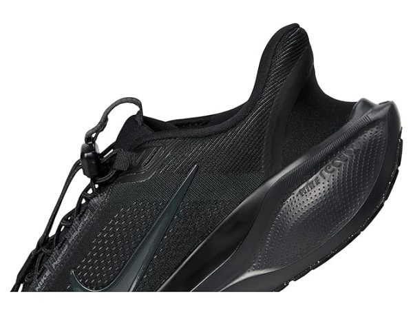 Nike Pegasus Easy On