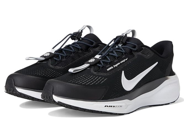 Nike Pegasus Easy On