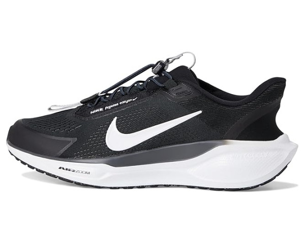 Nike Pegasus Easy On