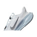 Nike Pegasus Easy On