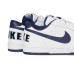 Nike Big Low