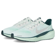 Nike Pegasus 41