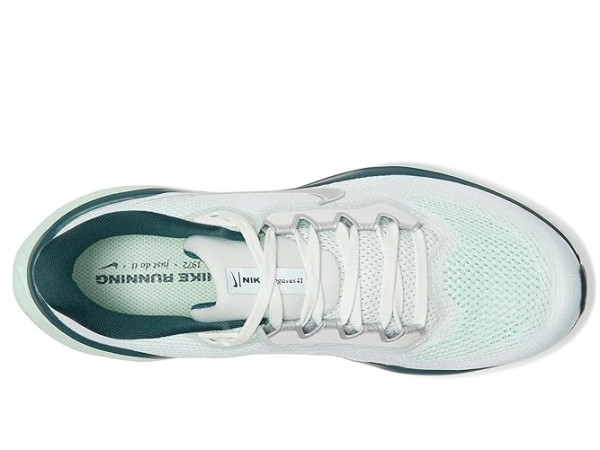 Nike Pegasus 41