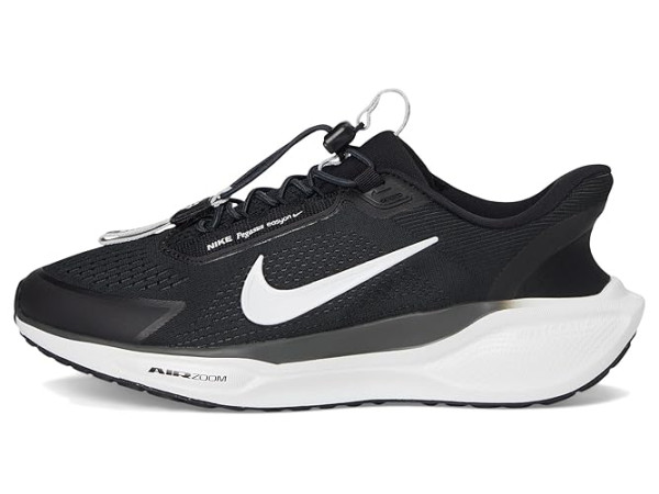 Nike Pegasus Easy On