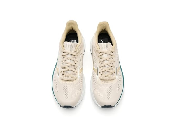 Mizuno Wave Inspire 22