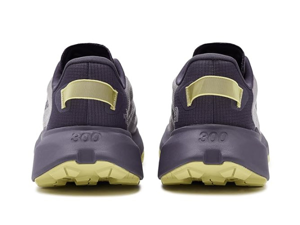 The North Face Altamesa 300 V2