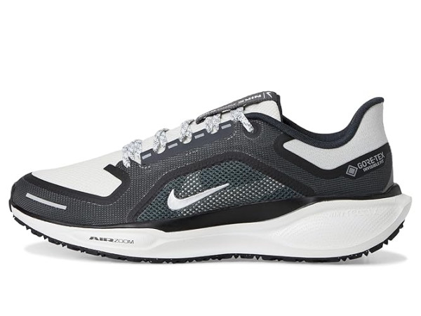 Nike Pegasus 41 GORE-TEX