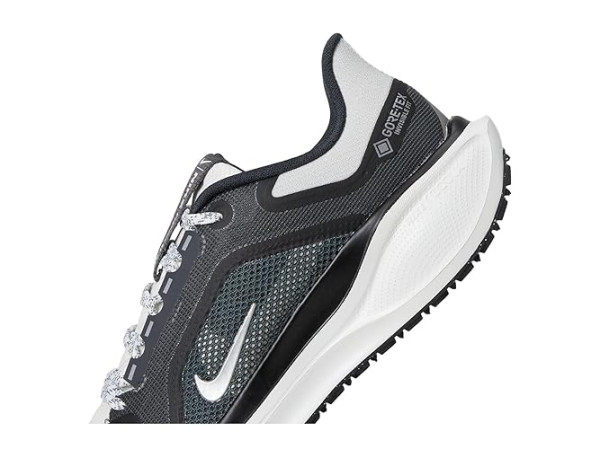 Nike Pegasus 41 GORE-TEX