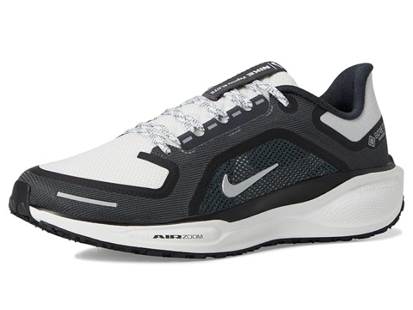 Nike Pegasus 41 GORE-TEX