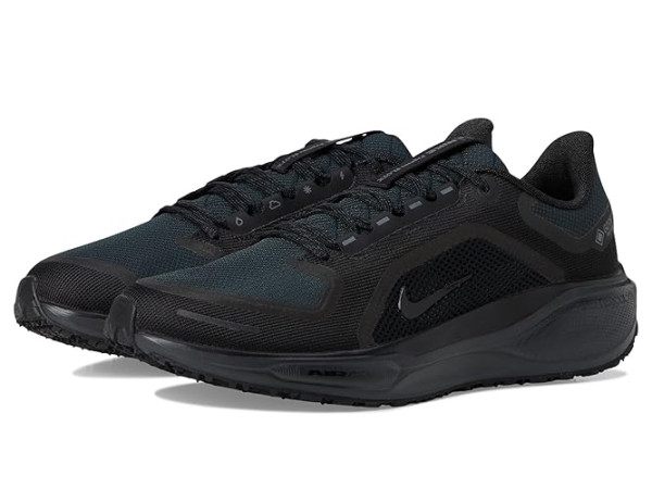 Nike Pegasus 41 GORE-TEX