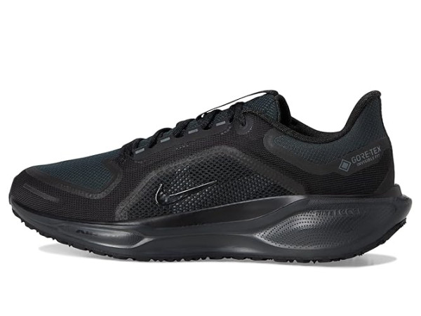 Nike Pegasus 41 GORE-TEX
