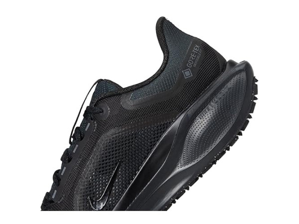 Nike Pegasus 41 GORE-TEX