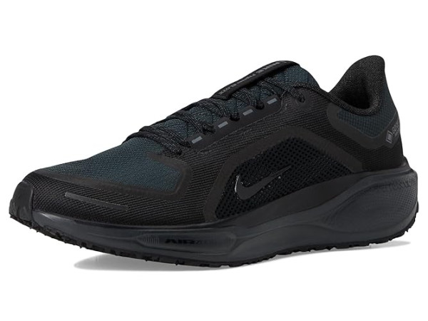 Nike Pegasus 41 GORE-TEX