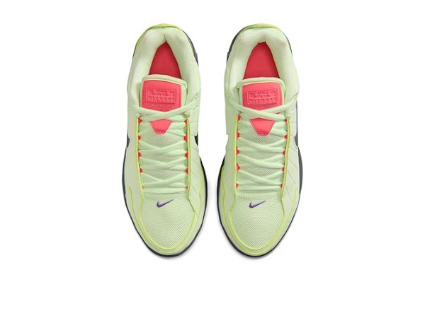 Nike Lebron Witness IX