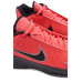 Nike Lebron Witness IX