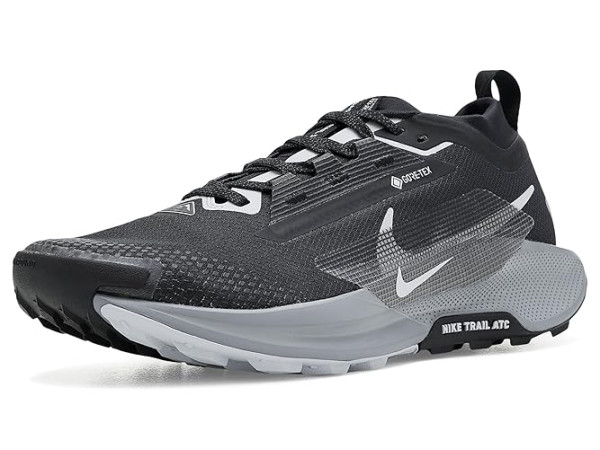 Nike Pegasus Trail 5 GORE-TEX