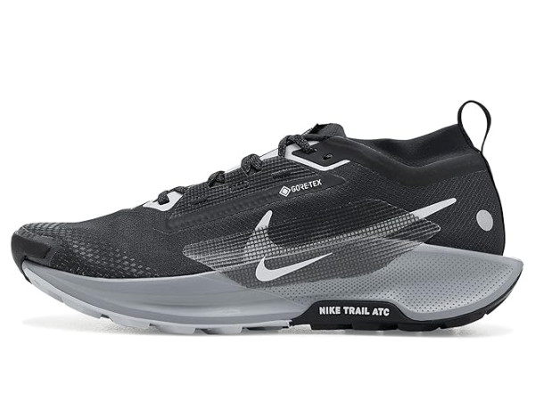 Nike Pegasus Trail 5 GORE-TEX