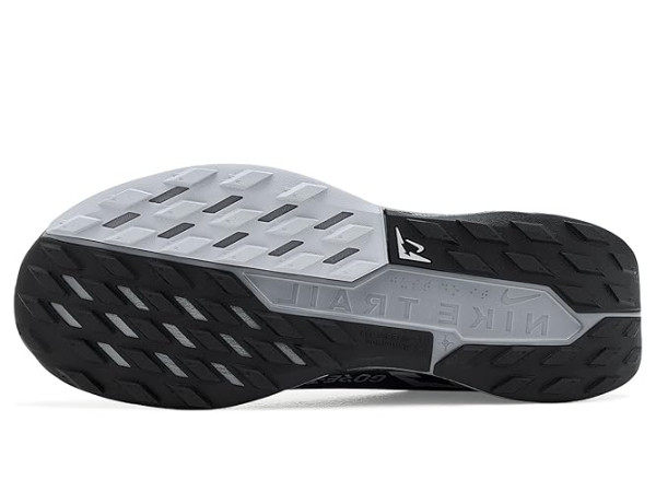 Nike Pegasus Trail 5 GORE-TEX