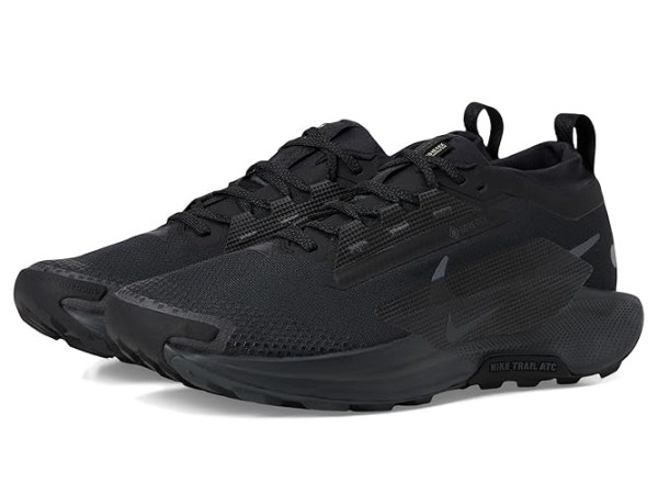 Nike Pegasus Trail 5 GORE-TEX