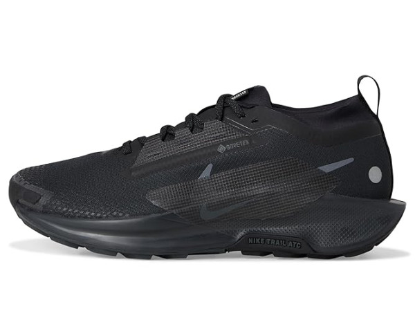 Nike Pegasus Trail 5 GORE-TEX Nike Pegasus Trail 5 GORE-TEX