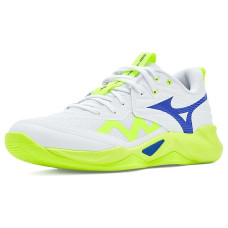 Mizuno Wave Momentum 4 Pro