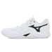 Mizuno Wave Momentum 4 Pro