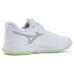 Mizuno Wave Momentum 4 Pro