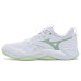 Mizuno Wave Momentum 4 Pro